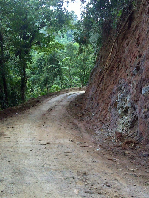 Pelebaran Jalan Simpang