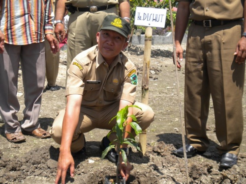 Kecil Menanam Dewasa Memanen (KMDM)