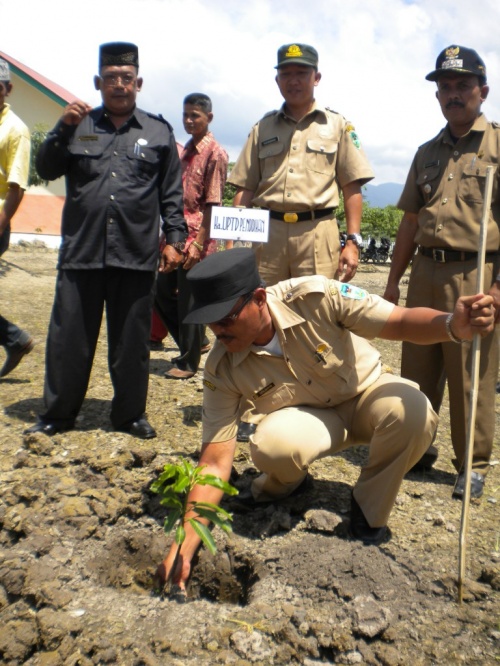 Kecil Menanam Dewasa Memanen (KMDM)