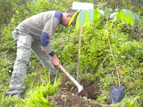 Menanam di Polsek Lubuk