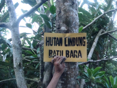 Hutan Lindung Batubara