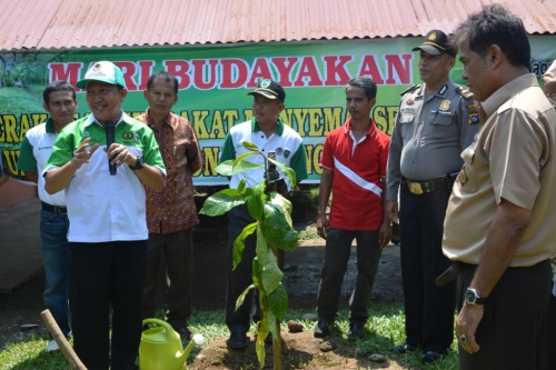 Penanaman pohon di Kecamatan Bonjol