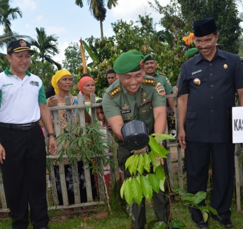 Penanaman Pohon di Kecamatan Bonjol