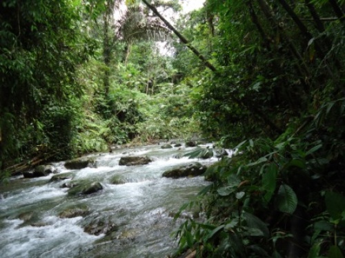 Ekspedisi Bukit Barisan