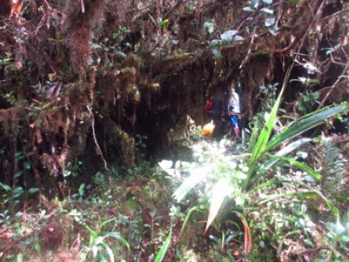 Ekspedisi Bukit Barisan